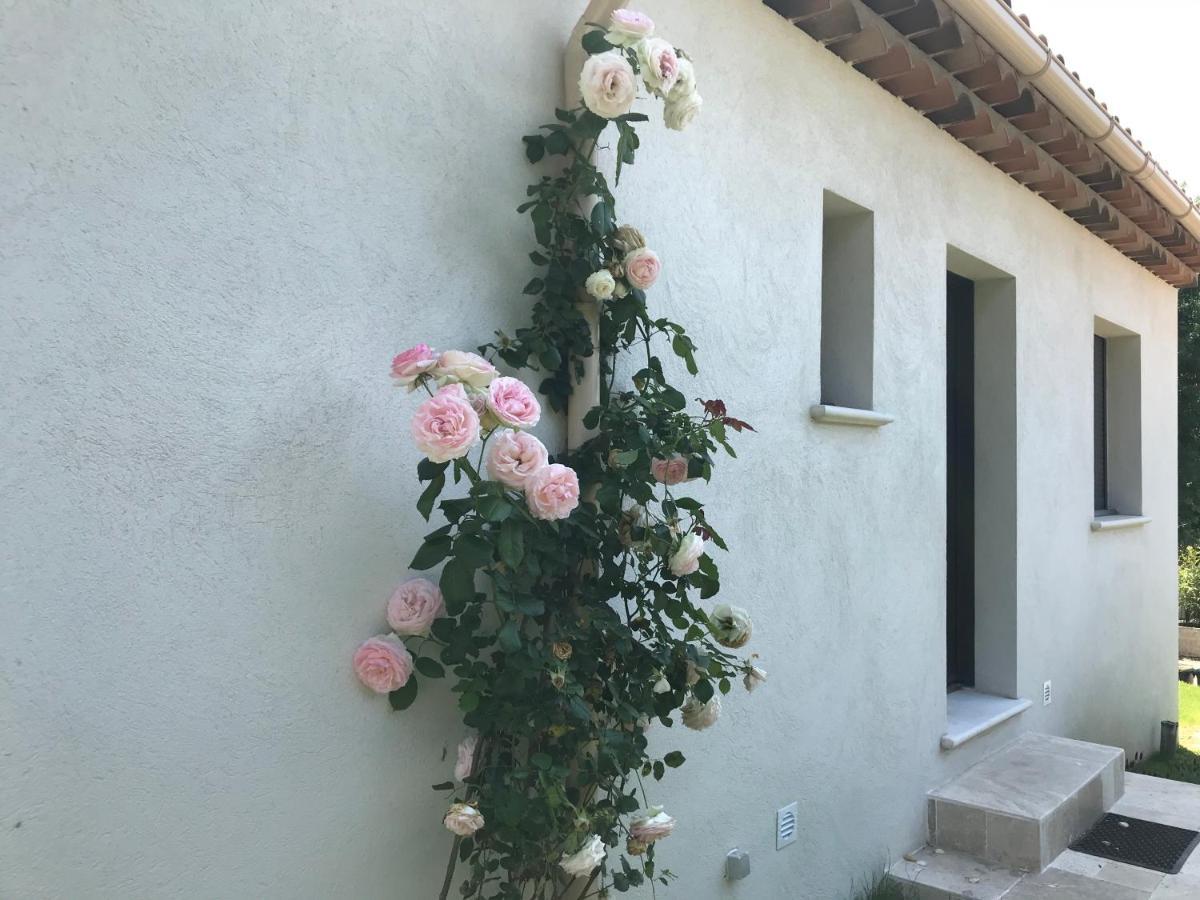 Villa L'Art De Fer Σαιν-Πολ-ντε-Βανς Εξωτερικό φωτογραφία